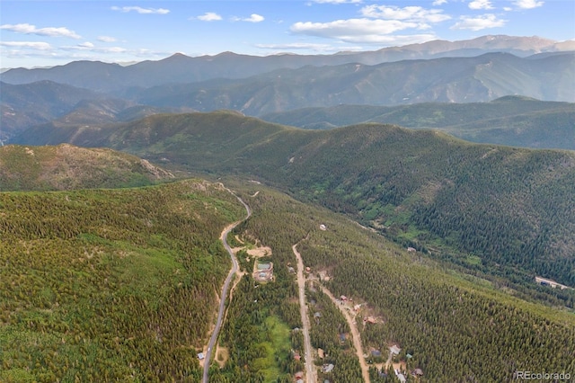 530 Silver Creek Rd, Idaho Springs, CO 80452 - photo 45