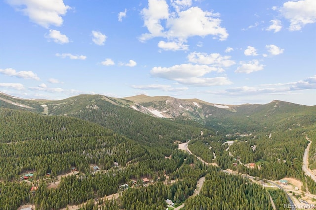 530 Silver Creek Rd, Idaho Springs, CO 80452 - photo 46