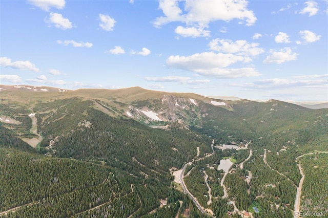 530 Silver Creek Rd, Idaho Springs, CO 80452 - photo 47