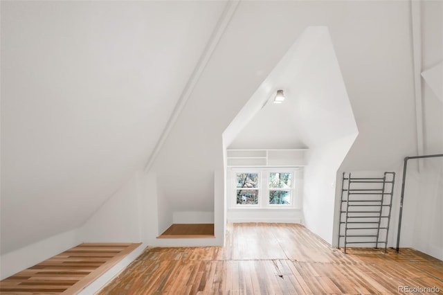 additional living space featuring wood-type flooring and lofted ceiling