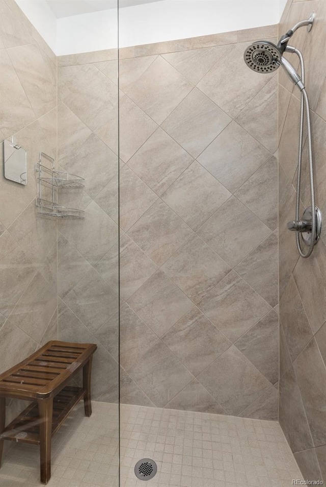 9628 Albion Ln, Thornton, CO 80229 - bathroom with a tile shower