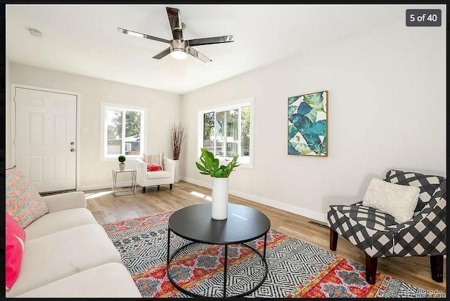 living room with wood-type flooring and ceiling fan