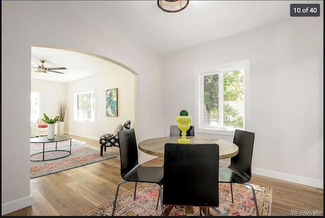 dining room with hardwood / wood-style flooring and ceiling fan