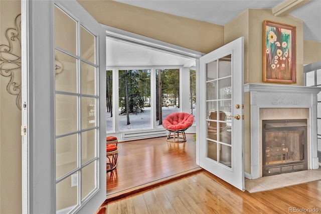 entryway with a glass covered fireplace and hardwood / wood-style flooring