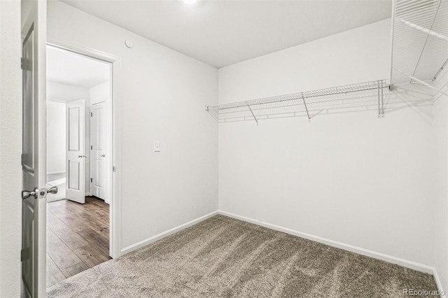 spacious closet featuring carpet floors