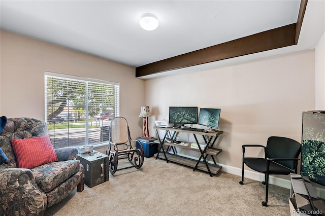 living area featuring carpet floors and baseboards