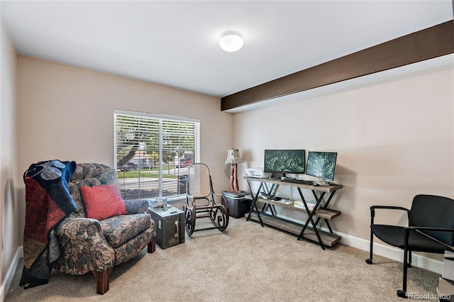 sitting room with carpet and baseboards