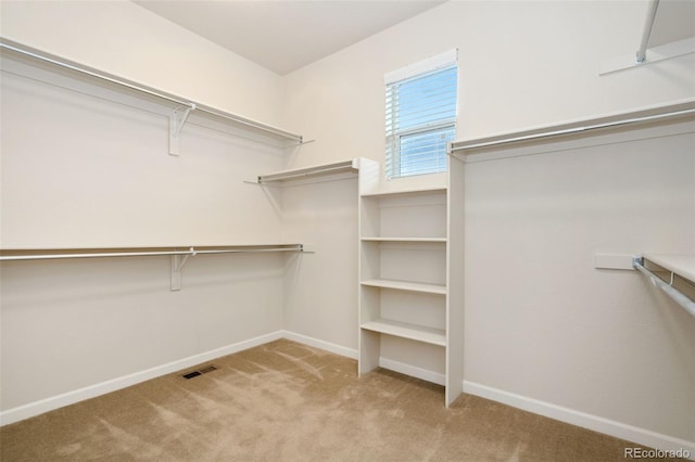 spacious closet featuring carpet and visible vents