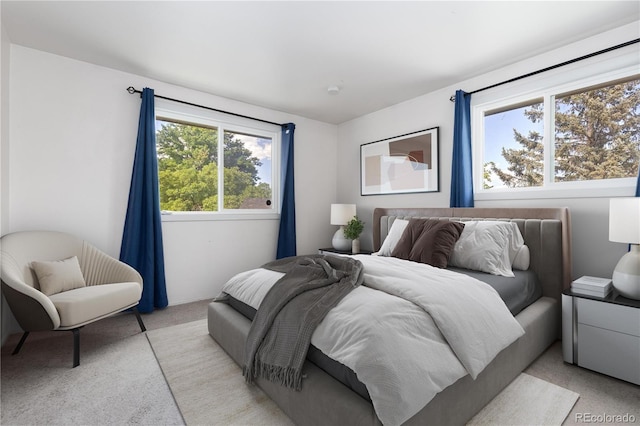 4374 E Peakview Cir, Centennial, CO 80121 - bedroom featuring light colored carpet
