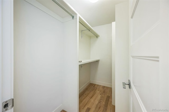 4922 Lowell Blvd Unit 3, Denver, CO 80221 - walk in closet with light wood finished floors