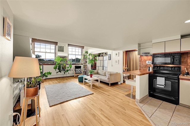 2351 Federal Blvd Unit 401, Denver, CO 80211 - living area with a baseboard heating unit, light wood-type flooring, and a fireplace