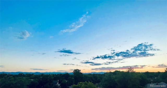 2351 Federal Blvd Unit 401, Denver, CO 80211 - view of mountain backdrop featuring a heavily wooded area