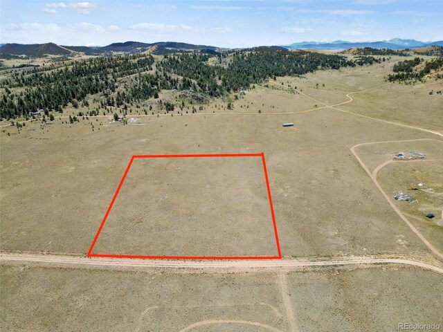 Black Beaver Rd, Hartsel, CO 80449 - photo 1