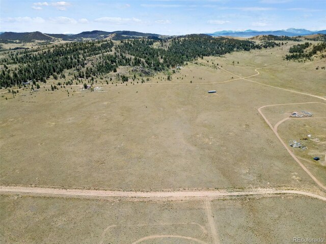 Black Beaver Rd, Hartsel, CO 80449 - photo 2