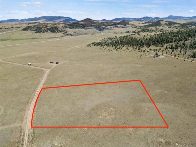 Black Beaver Rd, Hartsel, CO 80449 - photo 3