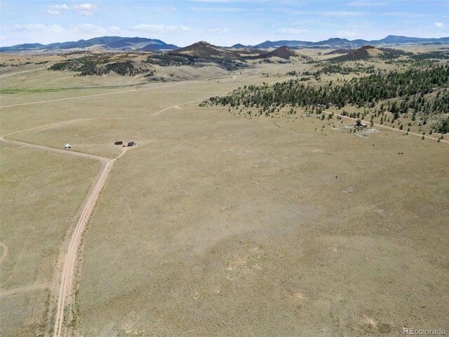 Black Beaver Rd, Hartsel, CO 80449 - photo 4