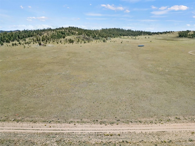 Black Beaver Rd, Hartsel, CO 80449 - photo 10