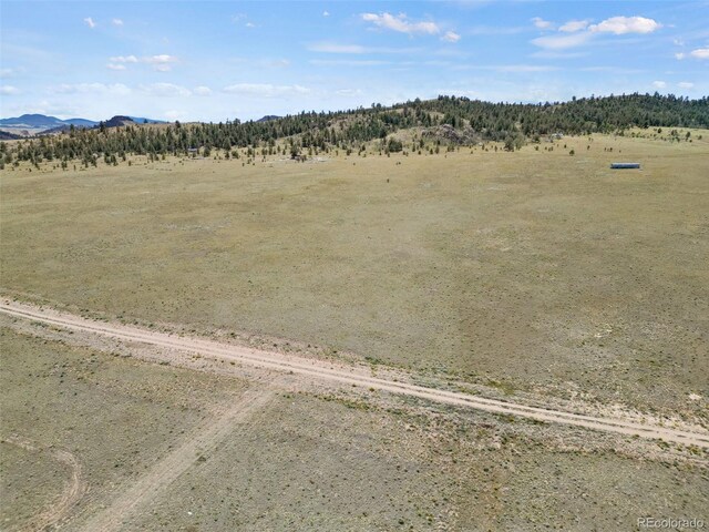 Black Beaver Rd, Hartsel, CO 80449 - photo 11