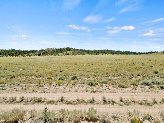 Black Beaver Rd, Hartsel, CO 80449 - photo 13