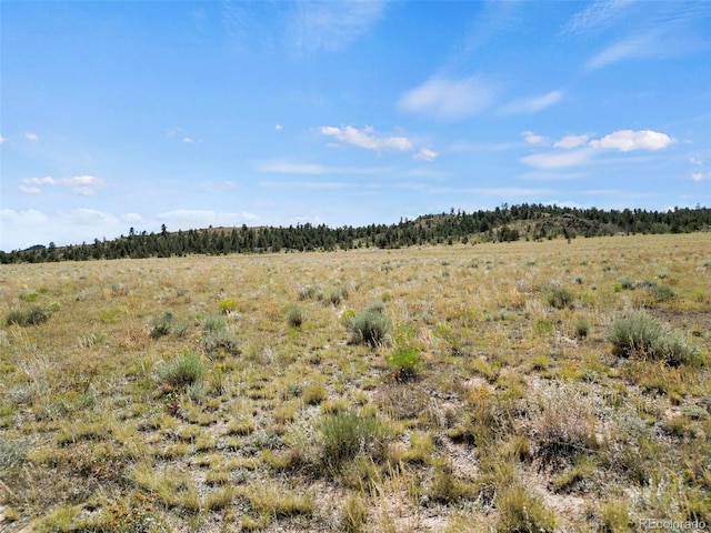 Black Beaver Rd, Hartsel, CO 80449 - photo 15