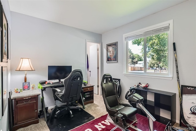 4849 S Pitkin Way, Aurora, CO 80015 - view of carpeted office