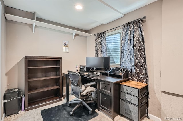 4849 S Pitkin Way, Aurora, CO 80015 - home office with light carpet