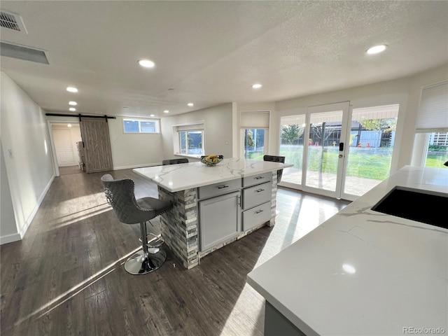 kitchen featuring a barn door, a wealth of natural light, dark hardwood / wood-style flooring, and a center island