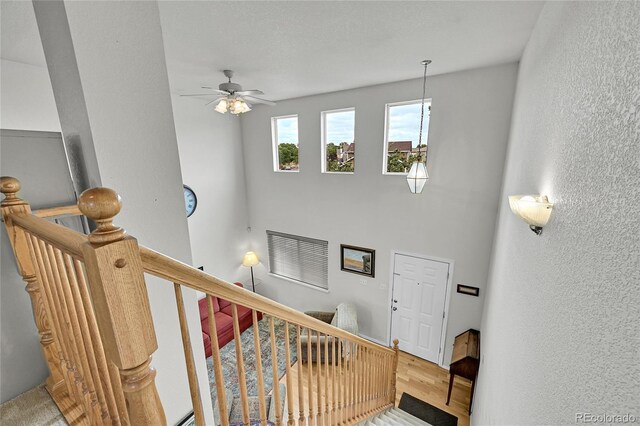 11285 Iola St, Commerce City, CO 80640 - photo 16