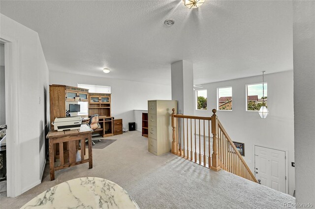 11285 Iola St, Commerce City, CO 80640 - photo 17
