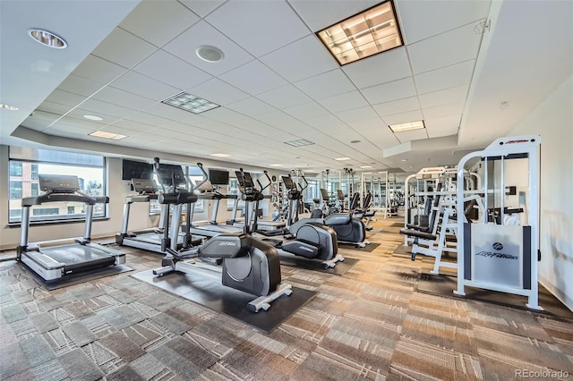 workout area featuring a drop ceiling, visible vents, and carpet