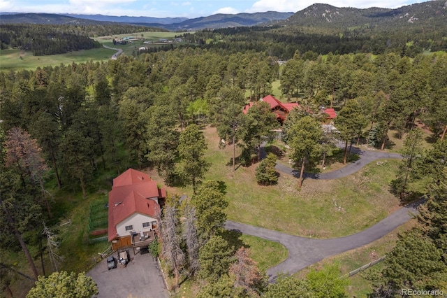 23076 Oehlmann Park Rd, Conifer, CO 80433 - bird's eye view of a heavily wooded area and mountains