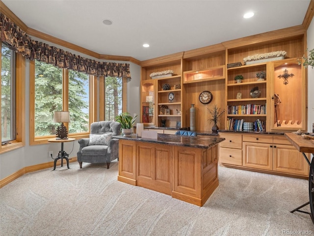 23076 Oehlmann Park Rd, Conifer, CO 80433 - office space with light colored carpet, ornamental molding, and recessed lighting