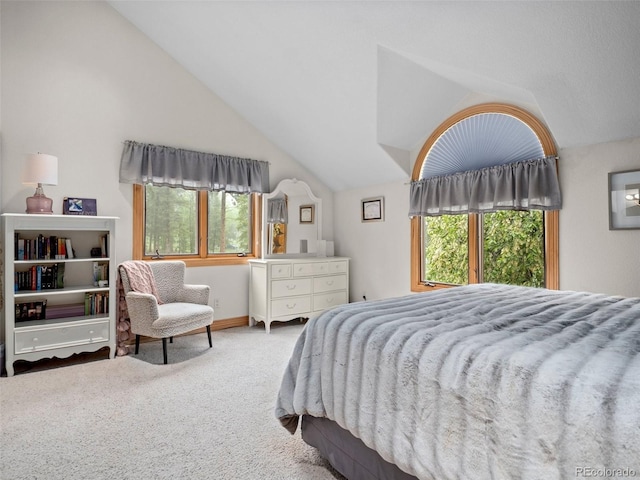 23076 Oehlmann Park Rd, Conifer, CO 80433 - bedroom with vaulted ceiling, carpet, and multiple windows