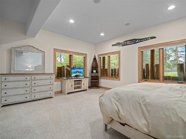 23076 Oehlmann Park Rd, Conifer, CO 80433 - carpeted bedroom with recessed lighting