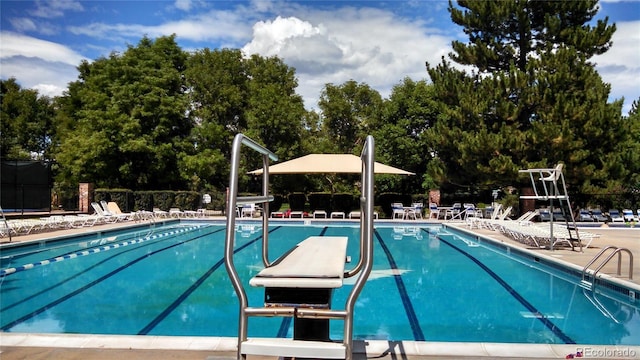2980 W Long Dr Unit E, Littleton, CO 80120 - community pool featuring view of wooded area and a patio area