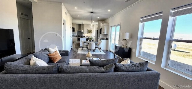 living room featuring crown molding and hardwood / wood-style flooring