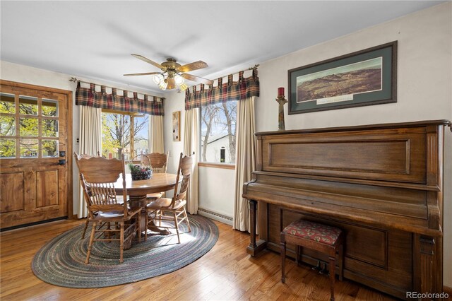 2418 Hagerman St, Colorado Springs, CO 80904 - photo 8