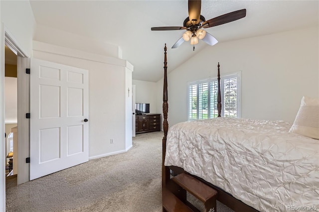 5130 Morning Glory Pl, Highlands Ranch, CO 80130 - photo 13