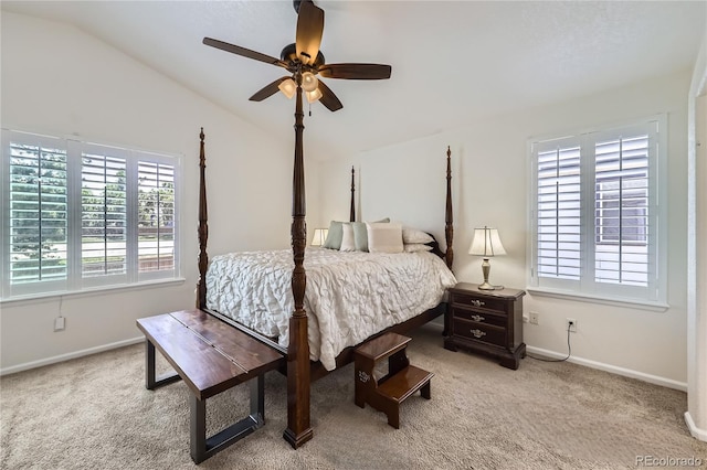 5130 Morning Glory Pl, Highlands Ranch, CO 80130 - photo 15