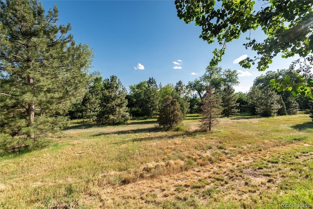 4262 E Orchard Pl, Centennial, CO 80121 - photo 47