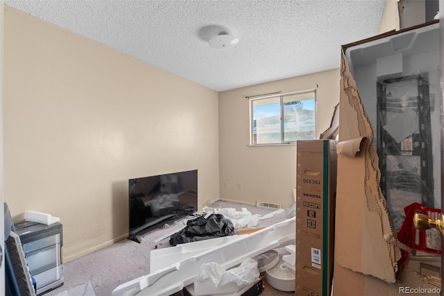 carpeted bedroom with a textured ceiling