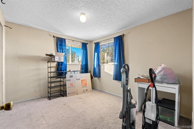 interior space featuring carpet floors and a textured ceiling