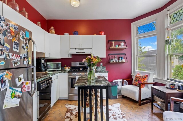1437 Columbine St, Denver, CO 80206 - kitchen with appliances with stainless steel finishes, under cabinet range hood, white cabinets, and dark countertops