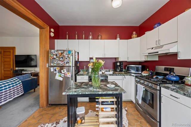 1437 Columbine St, Denver, CO 80206 - kitchen featuring appliances with stainless steel finishes, under cabinet range hood, white cabinetry, and tile patterned floors