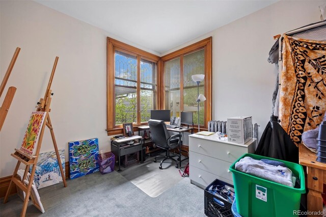 1437 Columbine St, Denver, CO 80206 - office area featuring carpet
