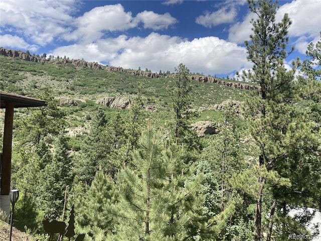 6101 Tallahassee Trl, Canon City, CO 81212 - photo 47