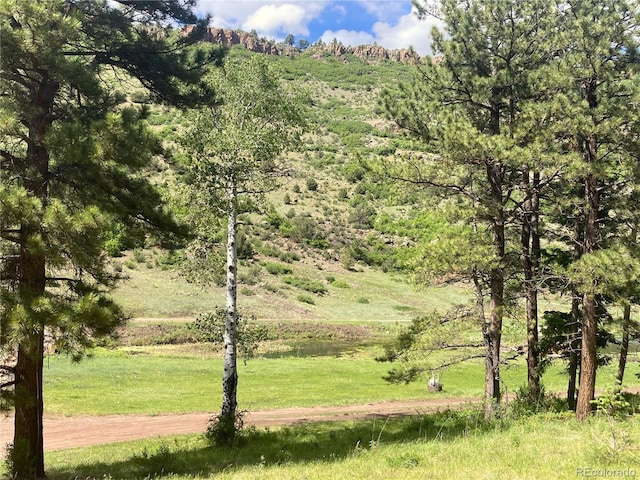 6101 Tallahassee Trl, Canon City, CO 81212 - photo 49