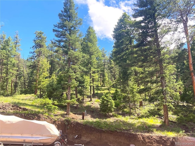 6101 Tallahassee Trl, Canon City, CO 81212 - photo 50
