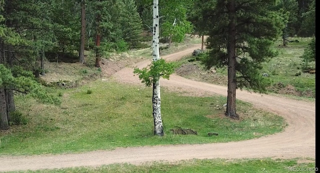 6101 Tallahassee Trl, Canon City, CO 81212 - photo 5