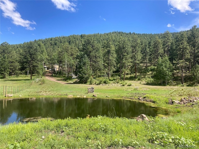 6101 Tallahassee Trl, Canon City, CO 81212 - photo 17
